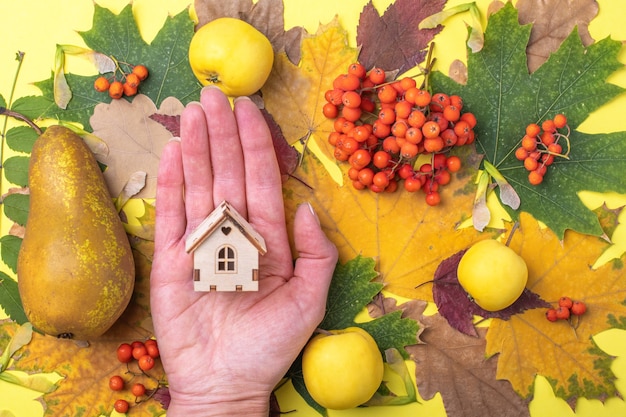 A hand holding a small wooden house on a yellow background with red-yellow leaves, apples, pears and orange berries. The house is a symbol of family and love. Family support in the fall.