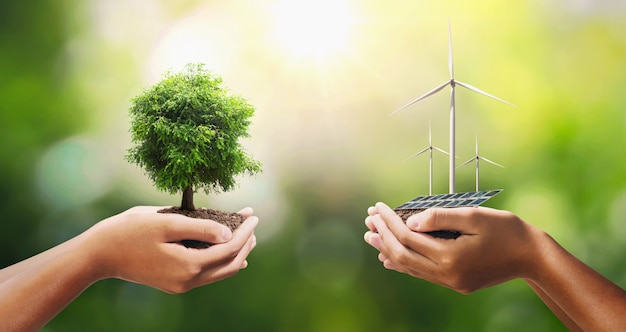 Hand holding tree with turbine and solar panel.