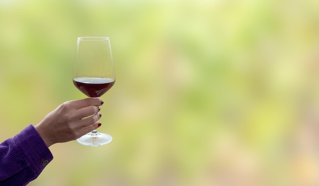 Hand holding wine glass