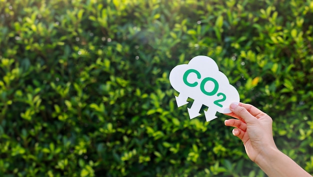 Photo hand holding with cloud for co2 esg and net zero energy saving concept save our planet world environment day world earth day sustainable development and green business