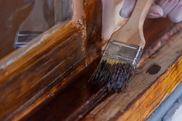 A hand holds a brush applying varnish paint on a board painting and caring for a tree