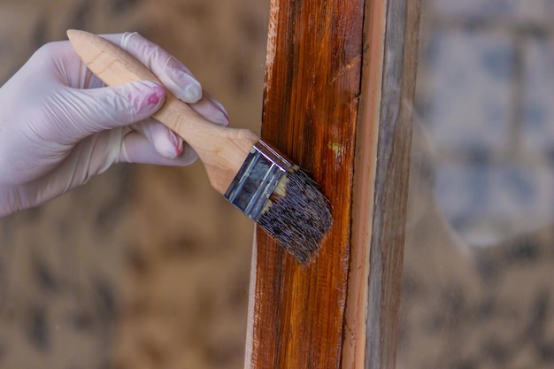 A hand holds a brush applying varnish paint on a board painting and caring for a tree