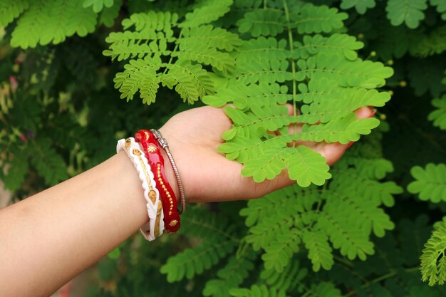 A hand holds a fern leaf in front of a green plant.