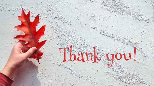 Hand holds vibrant red oak leaf flat lay on white textured background with copyspace Minimal natural Fall decorations