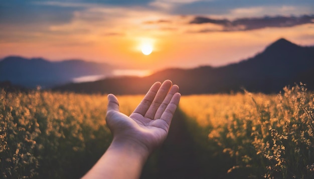 Photo a hand is reaching out to the sky with the sun setting behind it