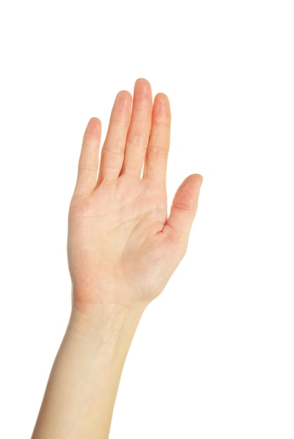 Hand isolated on a white background