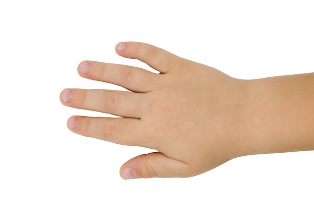 Hand of a little boy of three years old