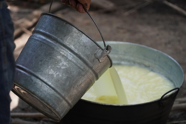 Hand made fresh cheese