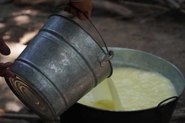 Hand made fresh cheese