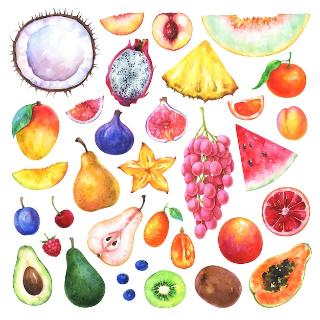 Photo hand painted fruits set. watercolor collection of cherry, mandarin, apricot,  orange, raspberry, nectarine, muskmelon, grapes, coconut, fig, pitaya, pear and other isolated on white background