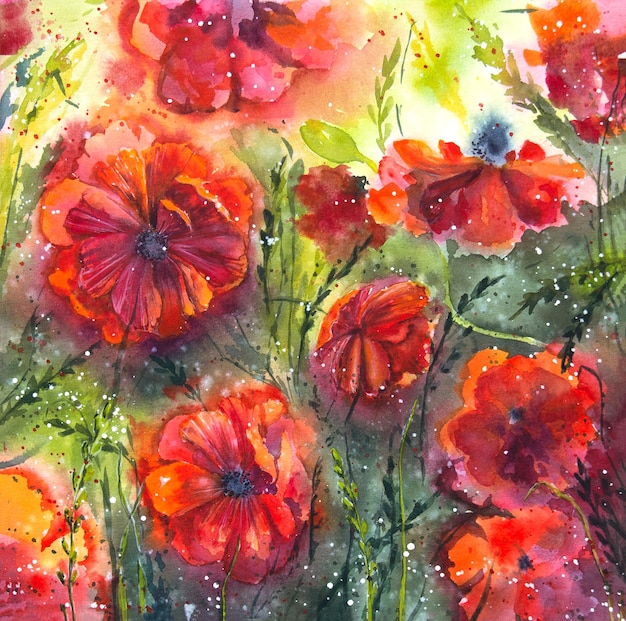 Photo hand painted watercolor red poppies painting watercolor red poppies watercolor poppy field