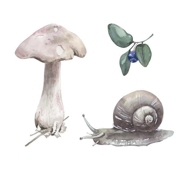 Hand painted watercolor set with snail mushroom and blueberry