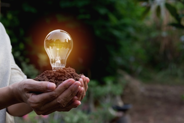 Hand of person holding light bulb for idea or success and solar energy concept.