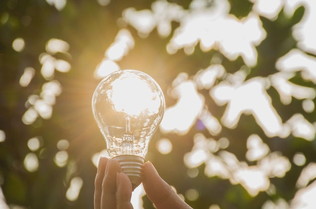 Hand of person holding light bulb for idea or success or solar energy concept.