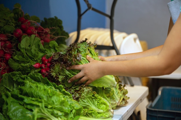 Hand picking lettuce from local market