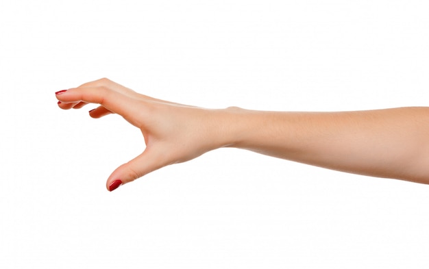 Hand pose like picking something isolated on white