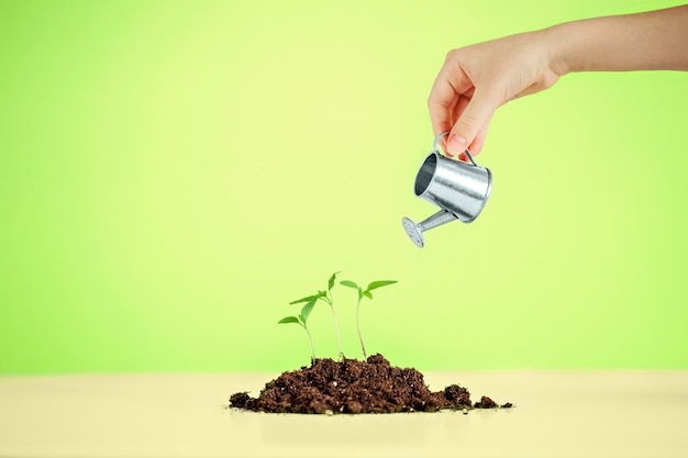 A hand pours a small watering can over young plants in the ground on a green background