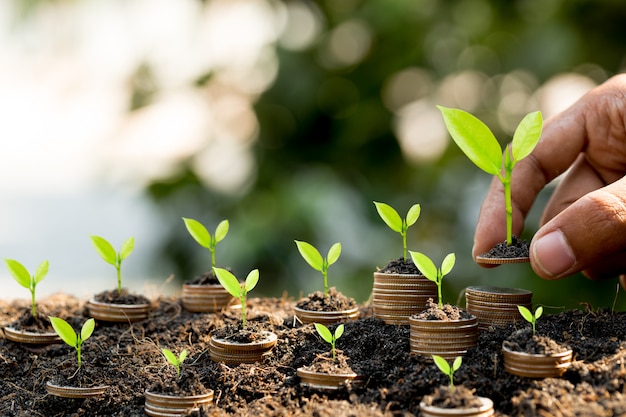 Hand putting coin on coin stack growing graph with green bokeh,investment concept.