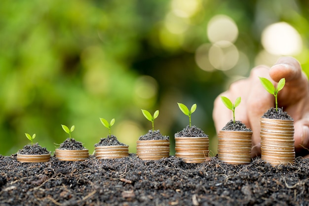 Hand putting coin on coin stack growing graph with green bokeh