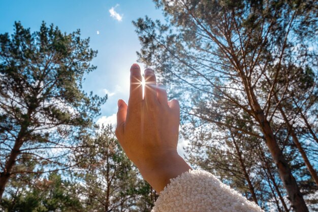 Photo hand reaches out towards the sunlight during walk in the forest