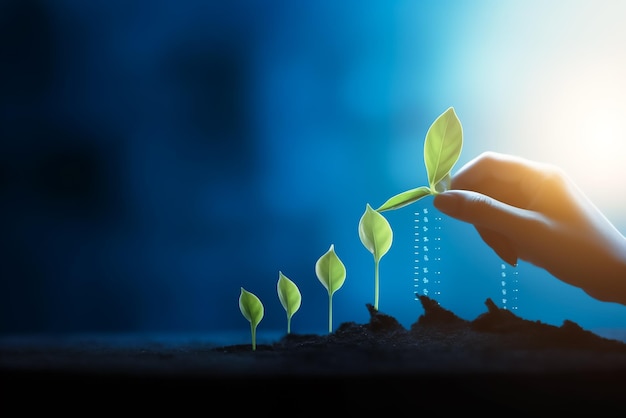 A hand reaches up to sprout growing from a plant.