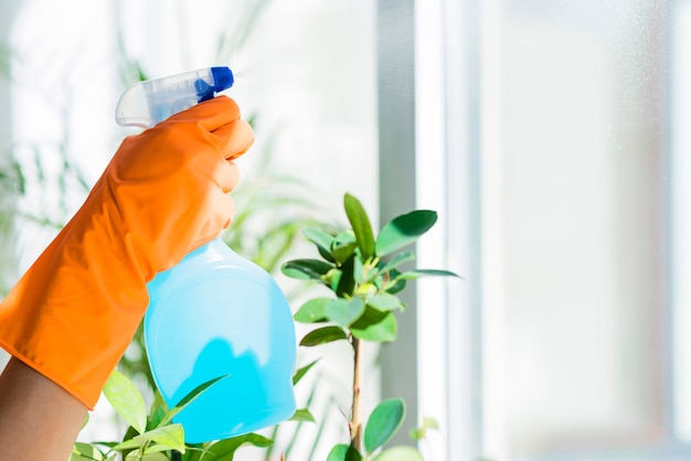 Hand in a rubber glove holds spray bottle of liquid detergent