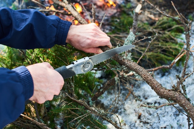 Hand sawn wood with a small saw