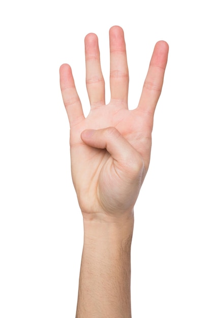 Hand shows number four isolated. Counting gesturing, enumeration, white background.