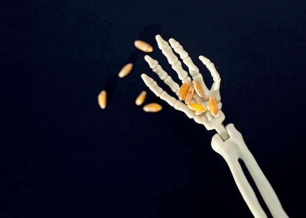 Hand of the skeleton pours grains of wheat Food crisis and world hunger concept background