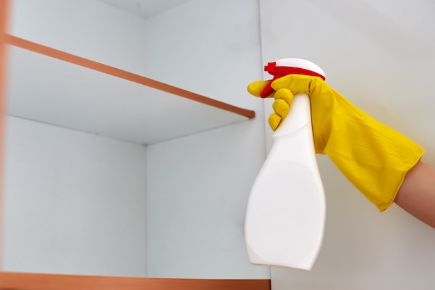 Hand spraying pesticide on a cockroach at home