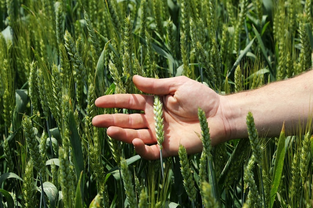 hand touching grass