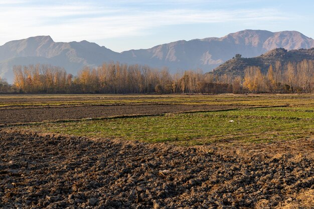 Hand water pump in the middle of agriculture fields