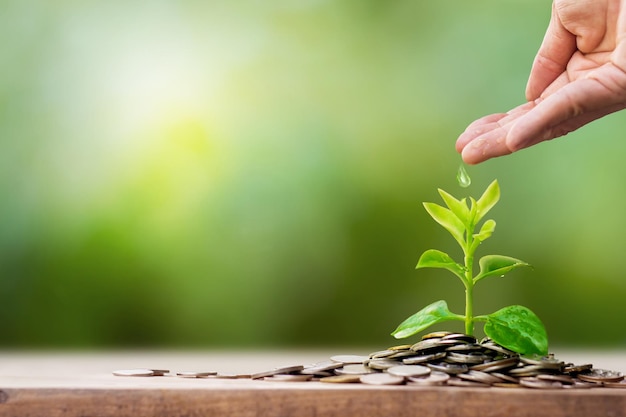 Hand watering young baby plants growing on coins with copy space