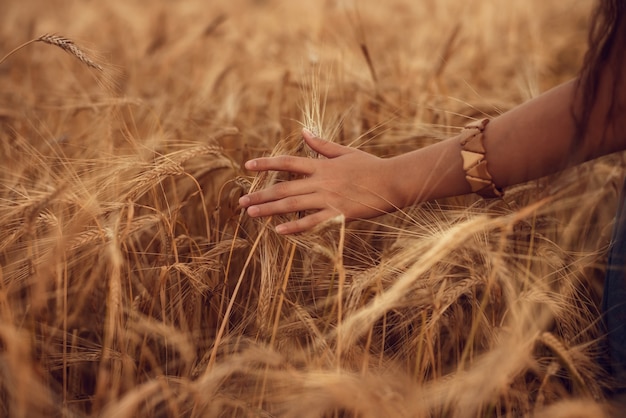 Hand in a wheat field. Young girl walking through field and touches wheat.