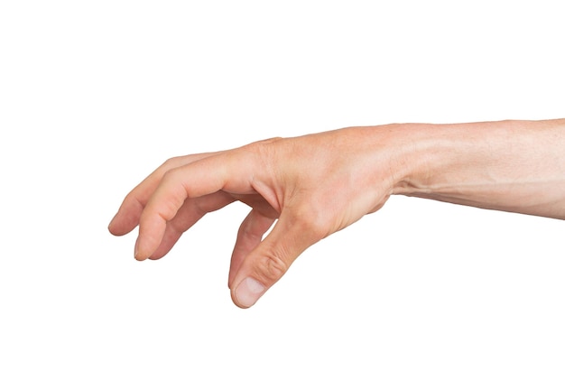 Hand white finger human person background arm showing Grab take body adult skin gesture sign