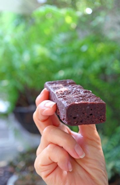 Hand with a flavorful chocolate brownie with blurry garden in the backdrop