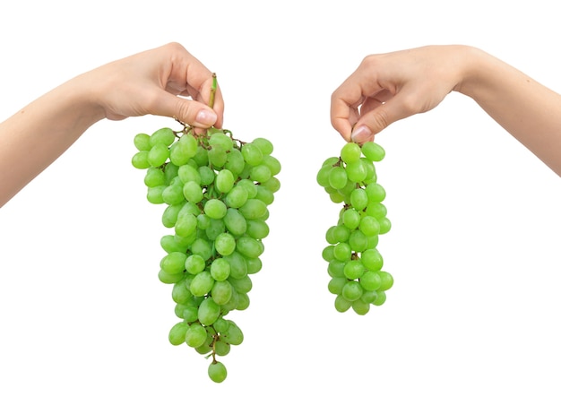 Hand with green grapes isolated on a white background