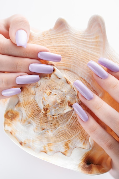 Hand with long violet manicured nails and seashell