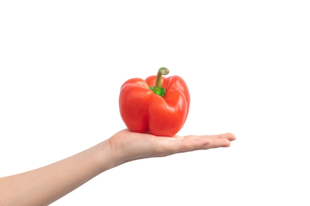 Hand with red sweet pepper isolated on a white background. Bulgarian pepper in hand