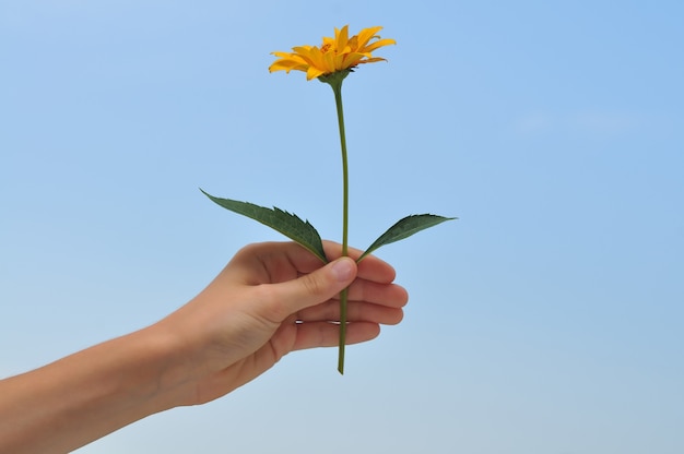 Hand with yellow flower