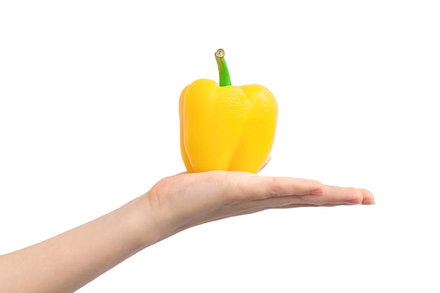 Hand with yellow sweet pepper isolated on a white background. Woman holding ripe vegetable, healthy food concept photo