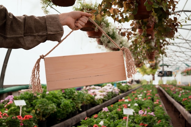 hand of woman holding empty wooden sign in garden mall and greenhouse with space for text