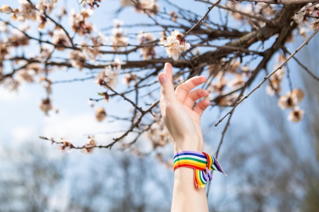 Hand wrapped in rainbow lgbt tape on background of blossoming tree