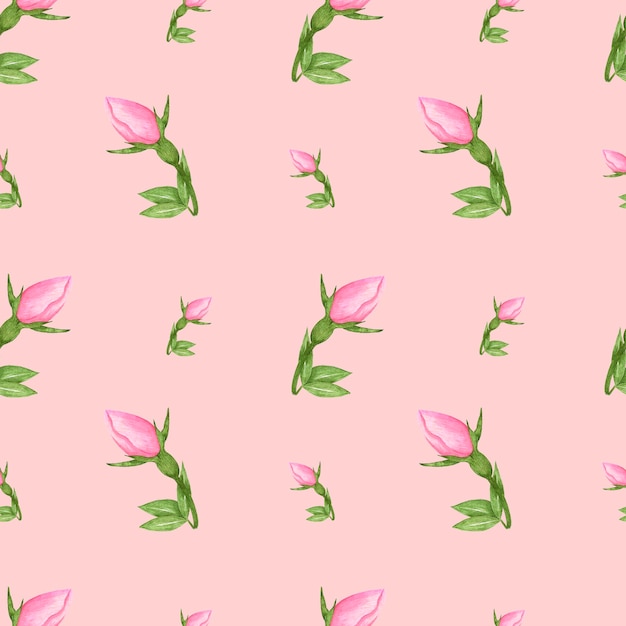 Handdrawn roses seamless pattern Watercolor pink buds with green leaves on pink background textile