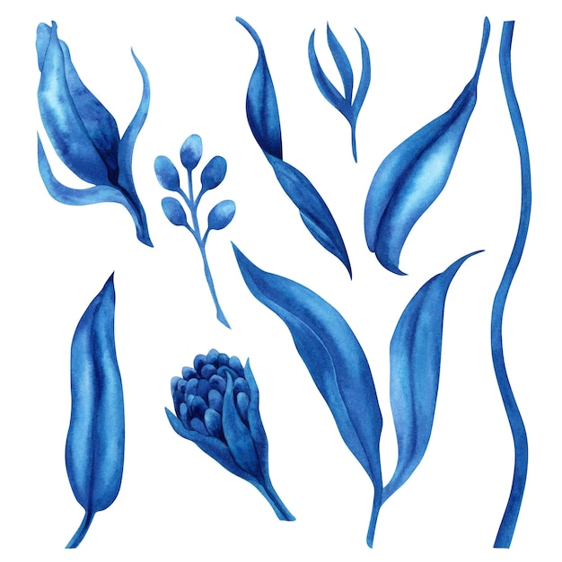 Handdrawn watercolor illustration of abstract blue fantasy flowers and leaves