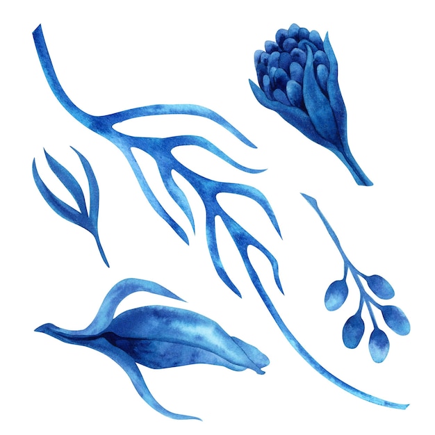 Handdrawn watercolor illustration of abstract blue fantasy flowers and leaves