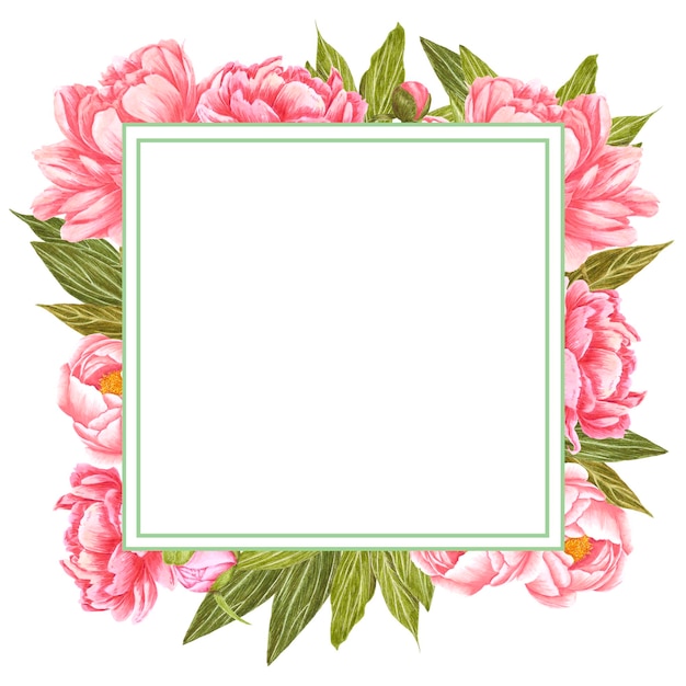 Handdrawn Watercolor pink peony flowers frame with green leaves and buds on the white background Scrapbook design wedding invitation label banner post card