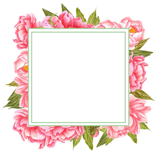 Handdrawn Watercolor pink peony flowers frame with green leaves and buds on the white background