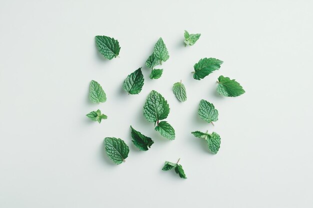 Photo a handful of mint leaves scattered organically on a white surface