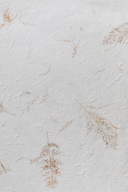 Handmade paper texture with recycled materials, tree leaves and cotton fibers. In delicate, clear and vanilla tones.